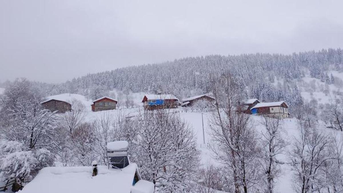 Artvin'de kar kalınlığının 1 metreyi buldu! Gece gündüz çatı temizliyorlar
