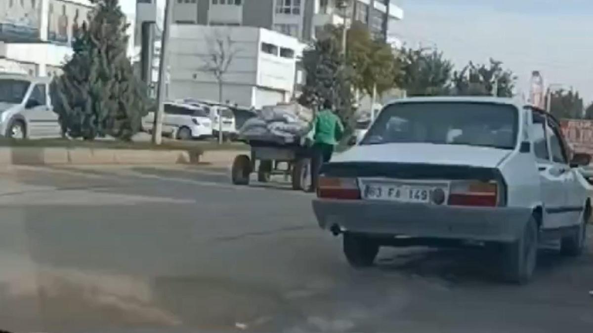 Şanlıurfa’da ata eziyet kamerada