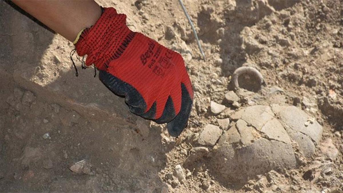 İzmir'de bulundu, tam 8 bin 500 yıllık! 'Farklı türlere ait'