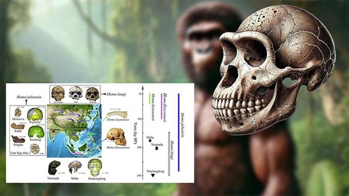 Yeni bir insan türü keşfedildi: Homo juluensi