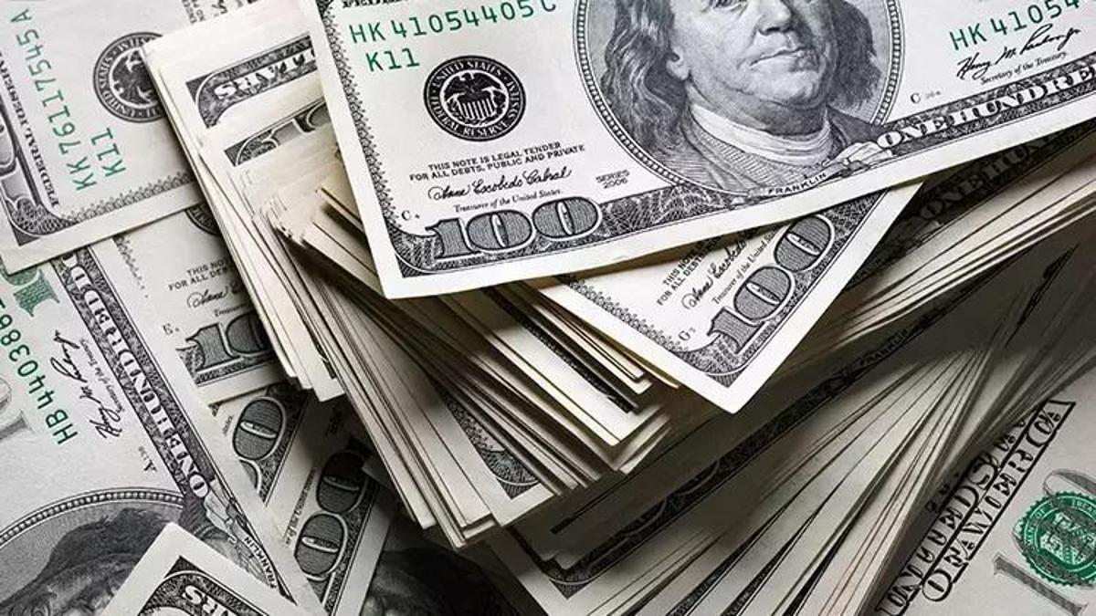 Merkez Bankası'nın rezervleri belli oldu