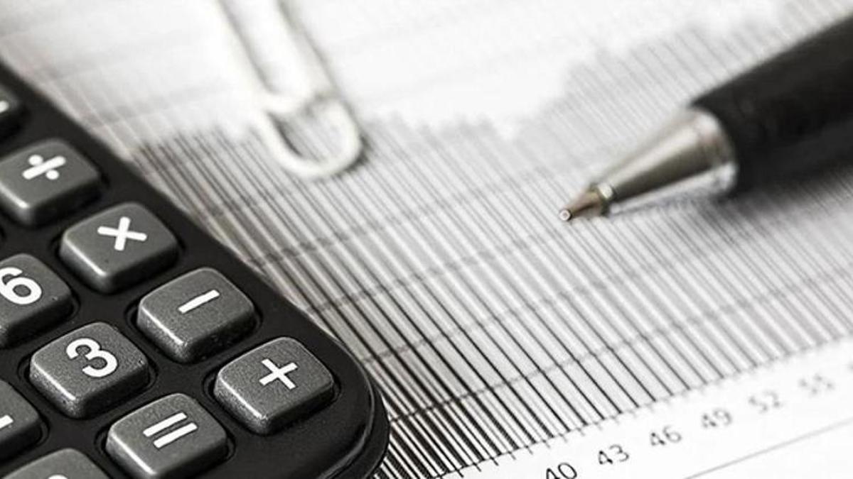 Yaşam koçluğu, mentörlük, terapi... Hepsi vergi denetimine takıldı