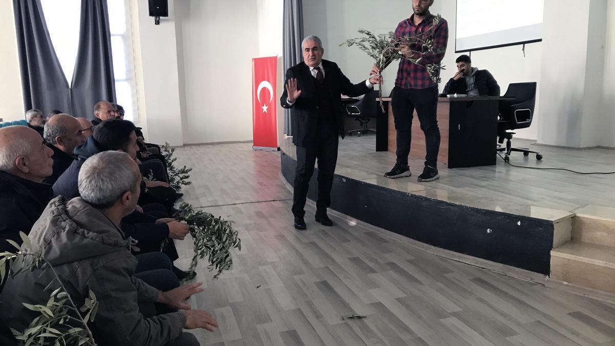 Derik'te zeytin üreticilerine budama ve dal kanseri ile mücadele eğitimi