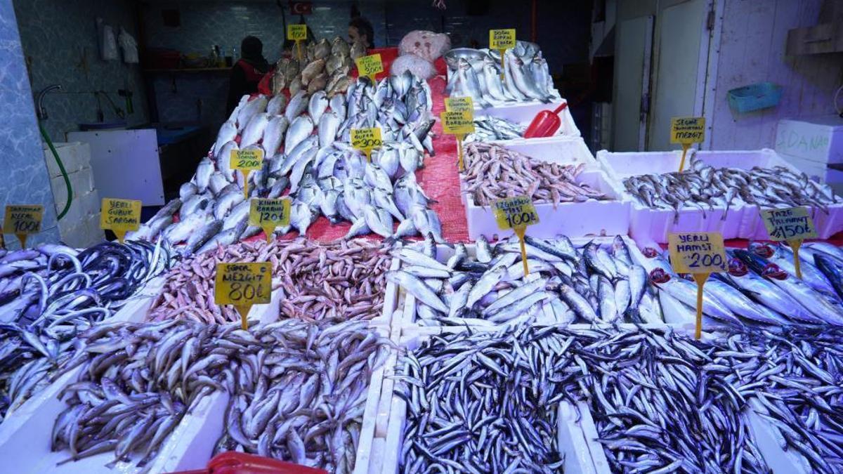 Bu balığın fiyatı altınla yarışıyor! Tezgahlarda yerini aldı, kilosu bin 200 TL