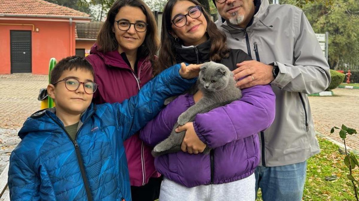 Osmangazi'de sokak hayvanları sıcak yuvalarına kavuşuyor