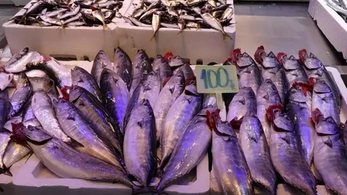 Tezgahlarda palamut bereketi sürüyor