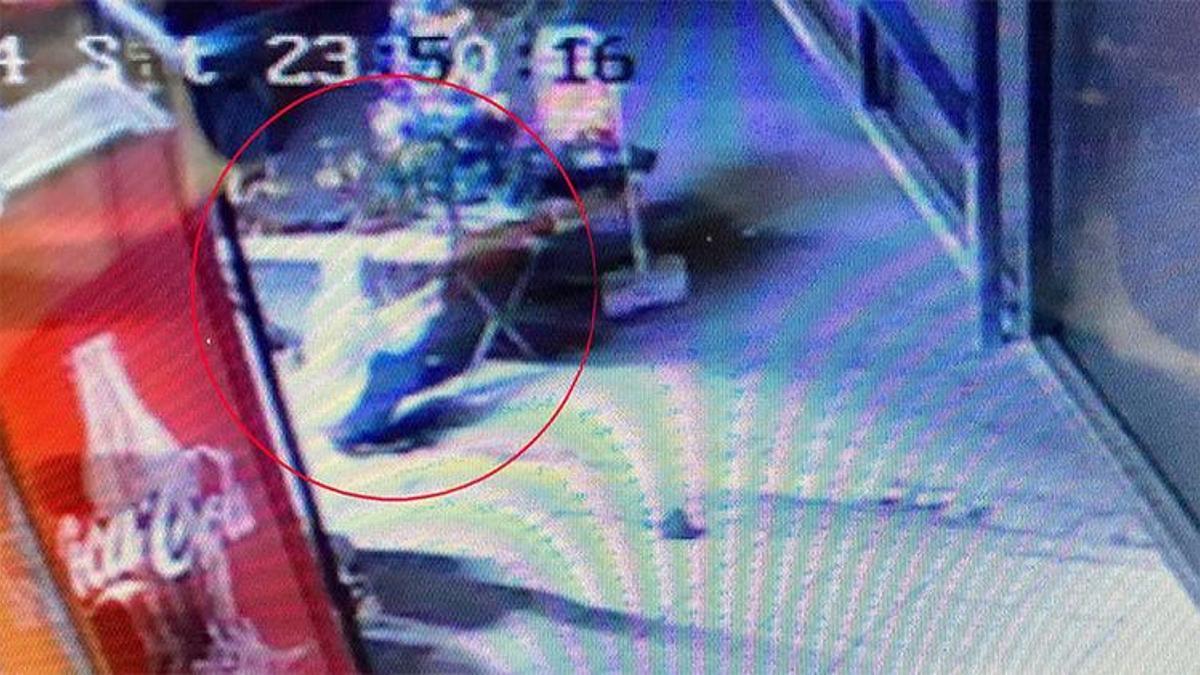 Bu da oldu! Mersin'de dükkanın önündeki çam ağacı çalındı