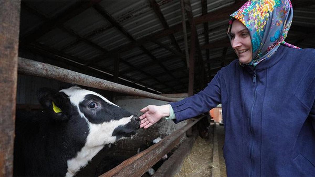 Aldıkları hibe hayatlarını değiştirdi! Günlük 1 ton üretim yapıyorlar