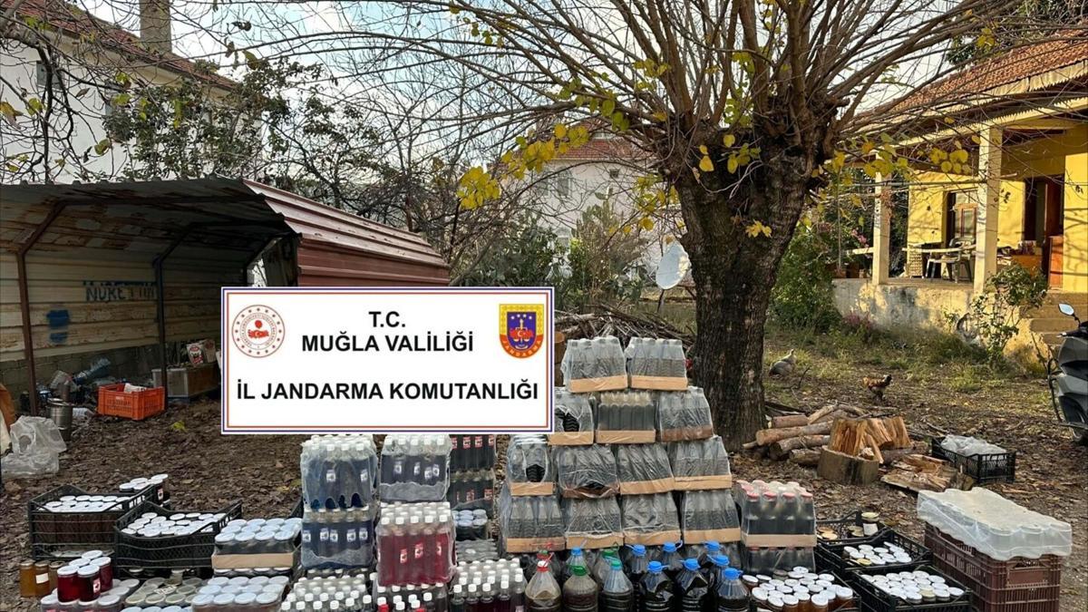 Muğla'da 2 milyon TL'lik sahte zeytinyağı, bal ve reçel ele geçirildi