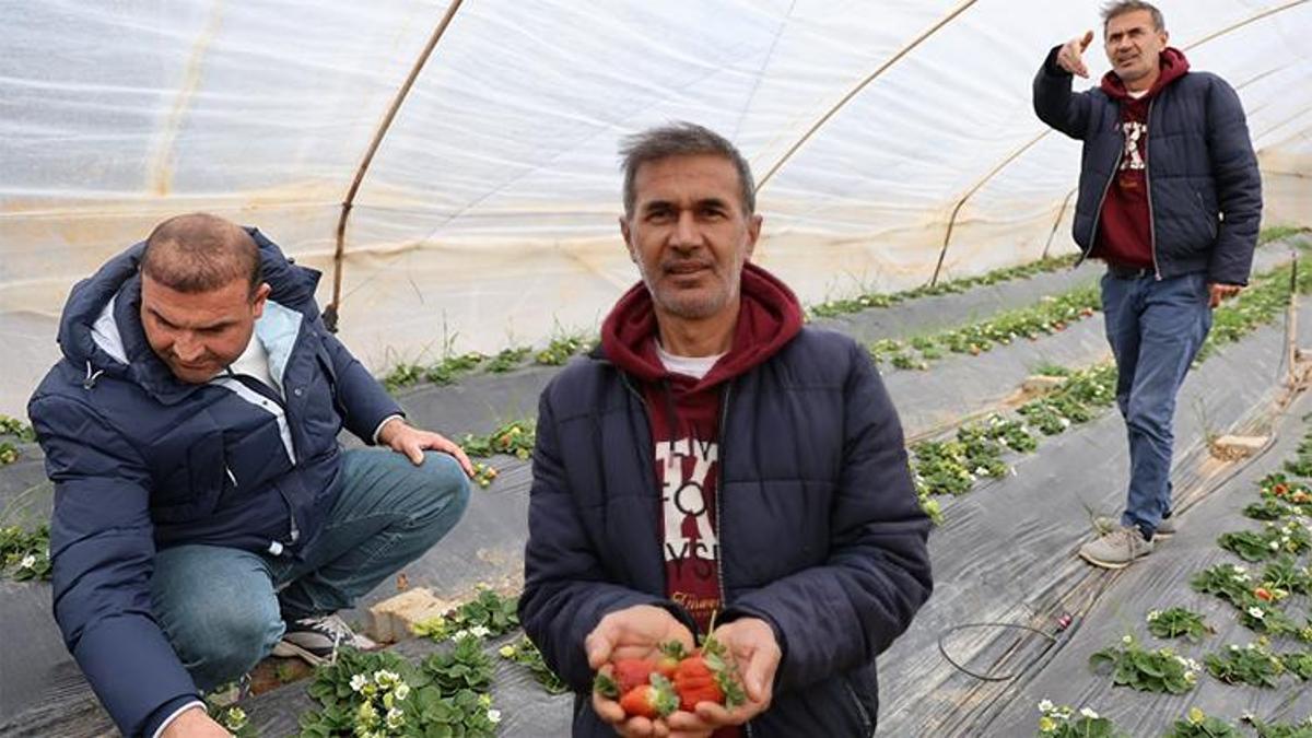 Kozan'da sıra dışı tedbir! Elektrikli tel ve ses bombası kullanılıyor
