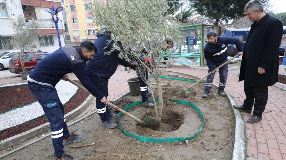 Yunusemre Belediyesi'nden kuru peyzaj çalışması