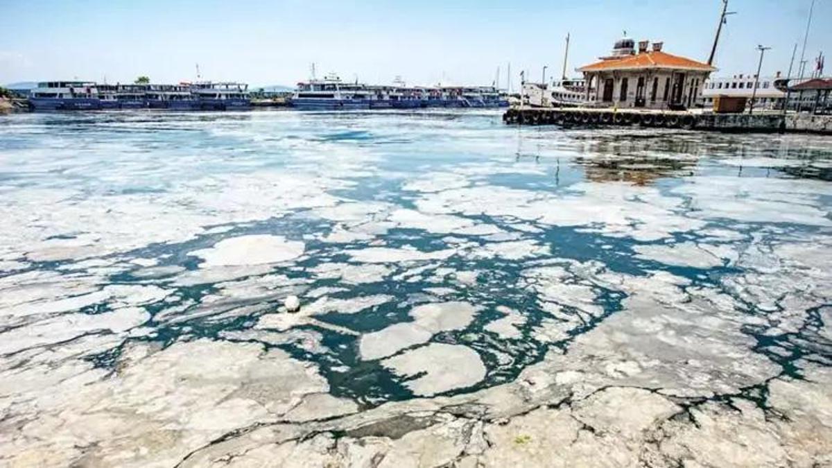 Bakanlık'tan iki belediyeye 10 milyon TL müsilaj cezası