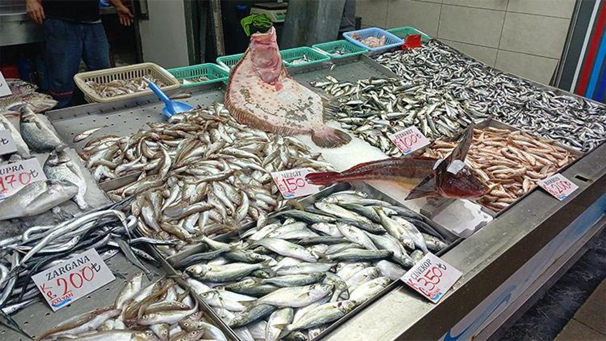 Balık tezgahının gözdesi kalkan ve kırlangıç oldu! Kilosu 150 TL