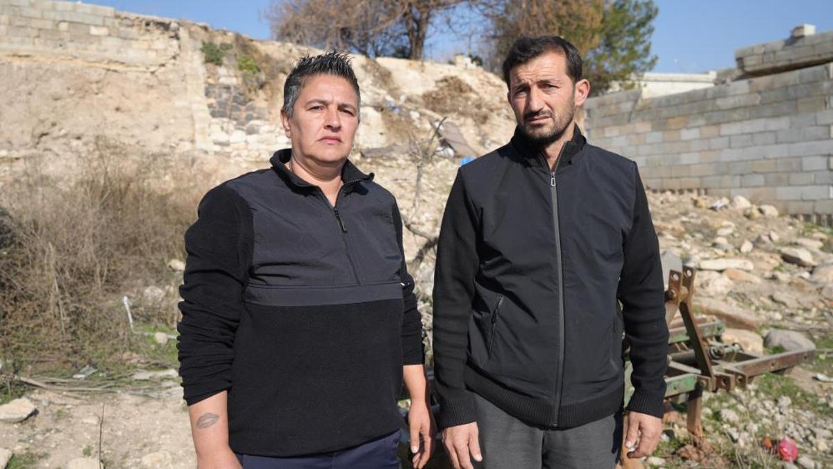 Gaziantep'te 3 köpek başları kesilmiş halde ölü olarak bulundu