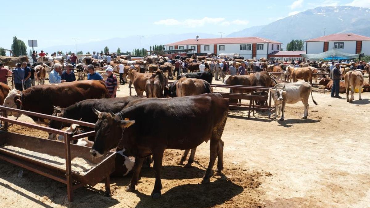 Erzincan’daki hayvan pazarında şap karantinası uygulamaya konuldu