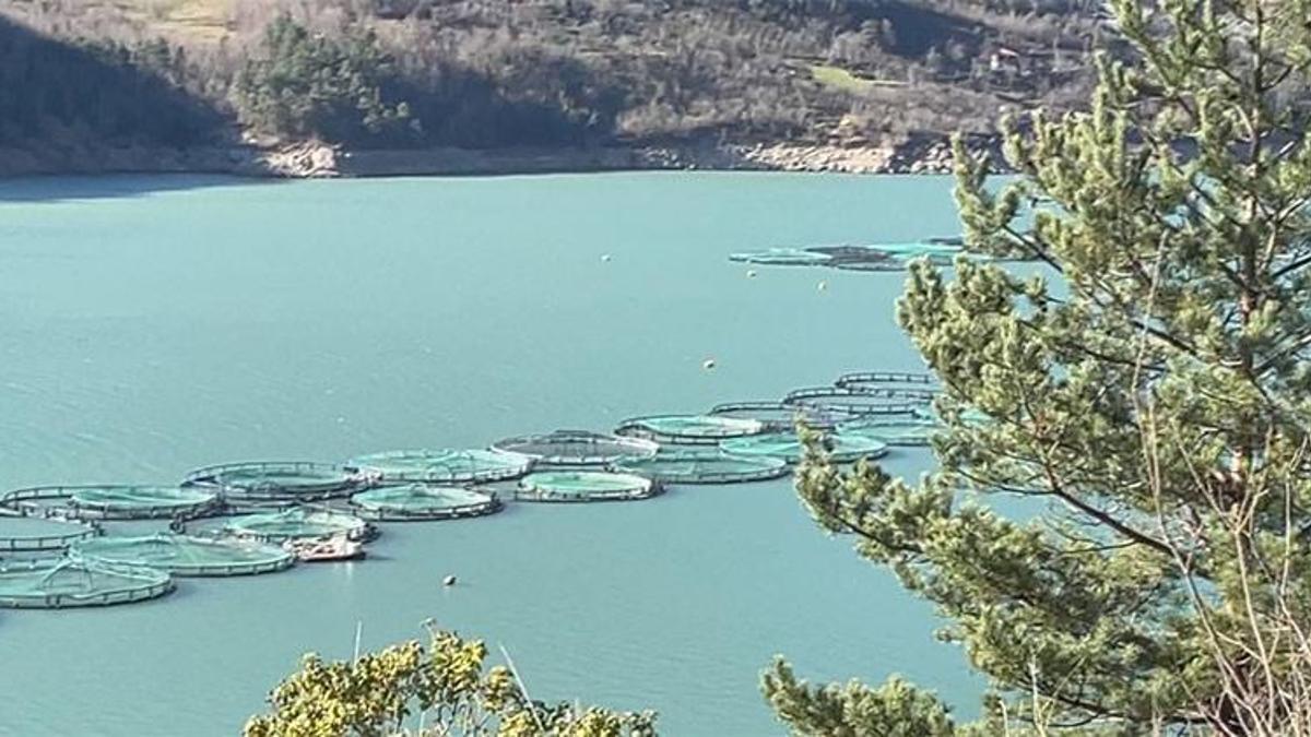‘Çoruh'un gerdanlıkları’ndan 3 milyar liralık gelir sağlandı! 60 bin tonluk üretim hedefi