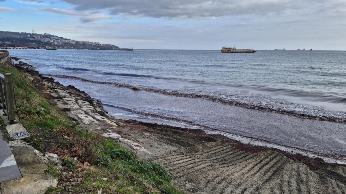 Tekirdağ sahili kırmızı yosunla kaplandı