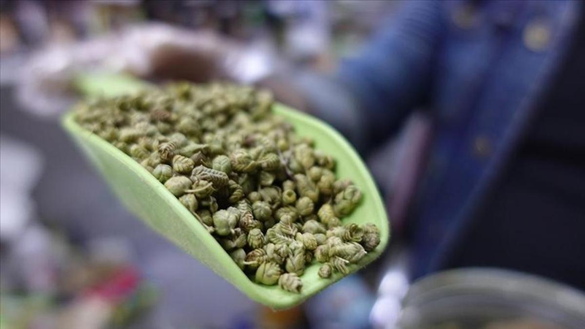 Dünya bu mucize bitkiyi Türkiye'den alıyor! 77 türü var, rekor kırıldı, 62 milyon dolarlık satış yapıldı