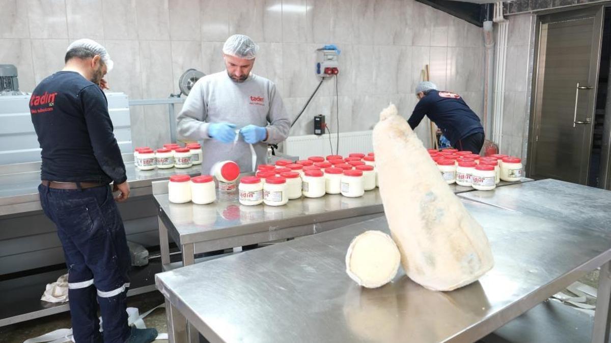 Yayladan sofraya Erzincan Tulum Peyniri