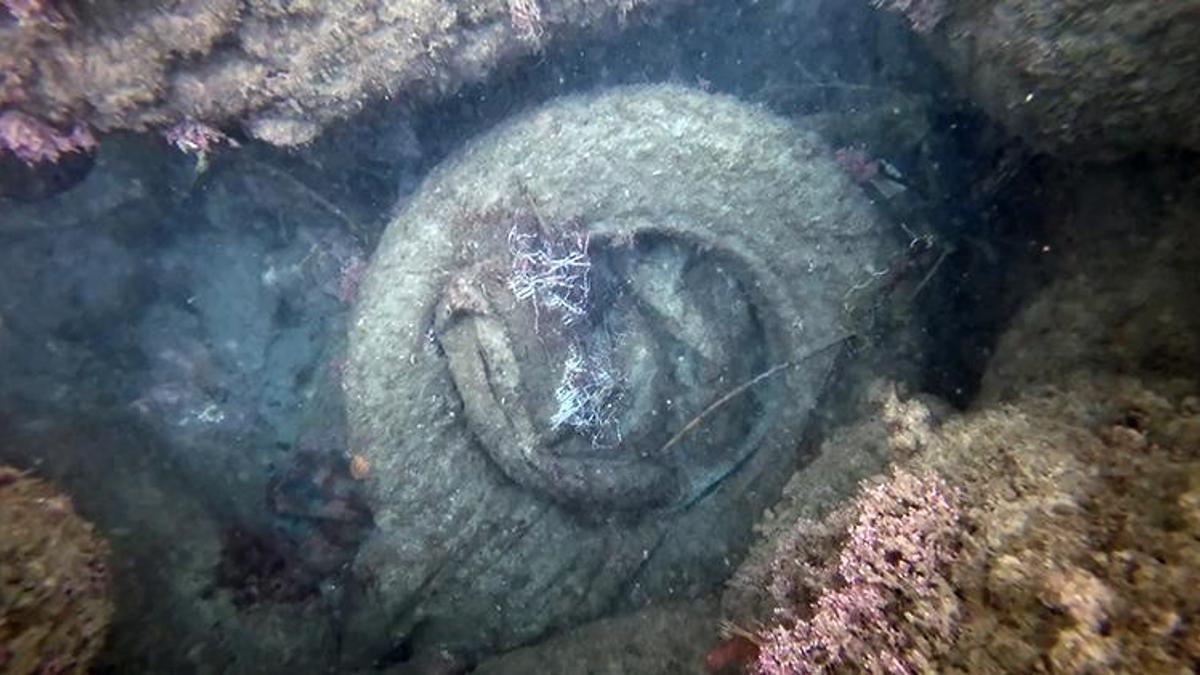 Sahillerde son yıllarda artış gösteren plastik atıklar tehlike oluşturuyor 'Mikroplastikler deniz ekosistemini tehdit ediyor'