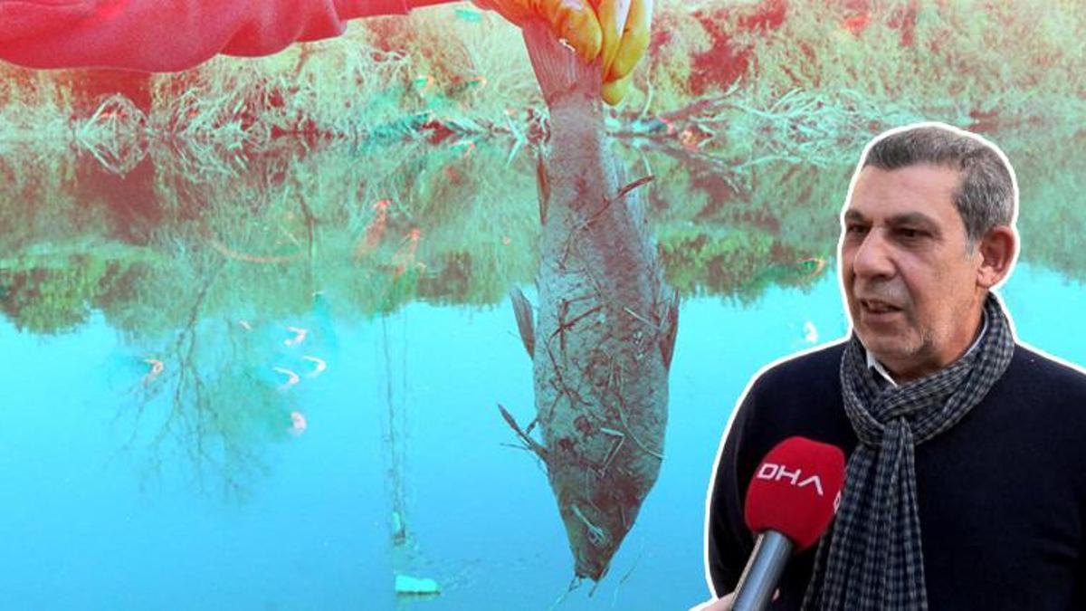 Ceyhan Nehri'nde balık tutanlar dikkat! 'Canlı ya da ölü balık tüketmeyin'