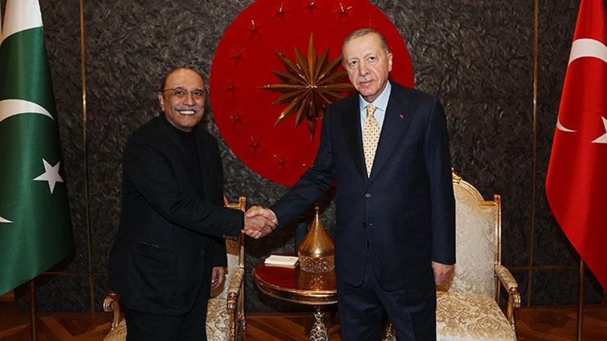 Cumhurbaşkanı Erdoğan, Pakistan Cumhurbaşkanı Asıf Ali Zerdari ile görüştü
