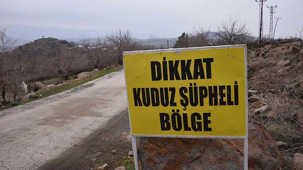 Şanlıurfa'da 3 kişiyi ısıran köpeğin kuduz olduğu ortaya çıktı! Mahalle karantinaya alındı