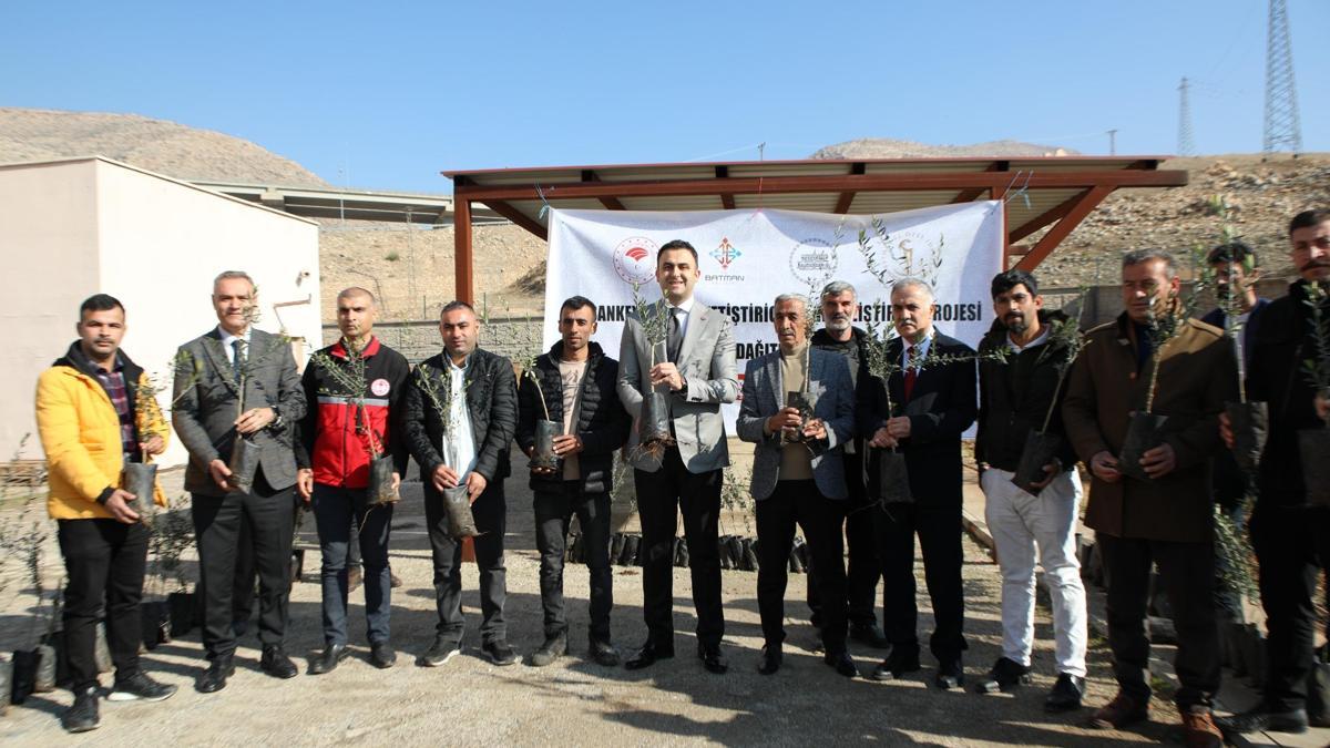 Hasankeyf'te 120 çiftçiye 10 bin zeytin fidanı dağıtıldı