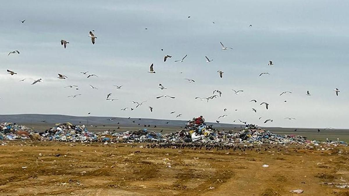 Bakanlıktan, Ankara Büyükşehir Belediyesi'ne 5 milyon TL 'çevre kirliliği' cezası