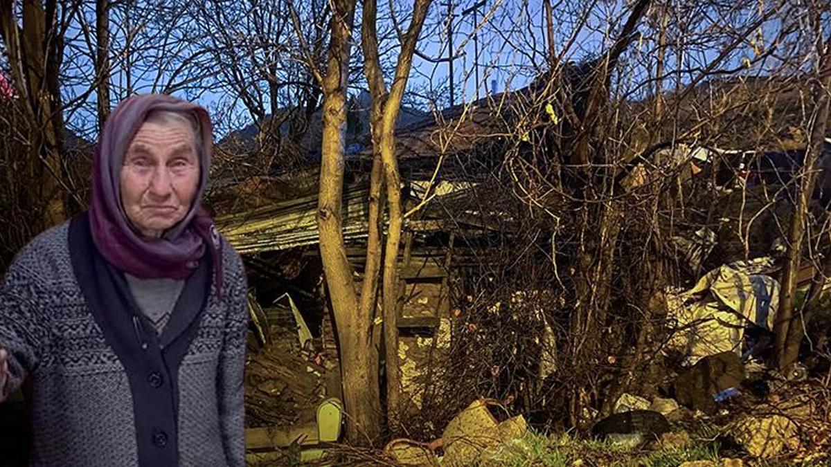 Ankara'da hayvansever olarak bilinen yaşlı kadının şüpheli ölümü: Sabah hedef gösterildi akşam yangında can verdi