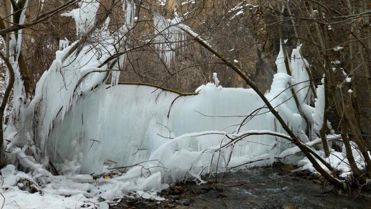 Hakkari'de borudan fışkıran su nedeniyle ağaçlarda buz sarkıtları oluştu