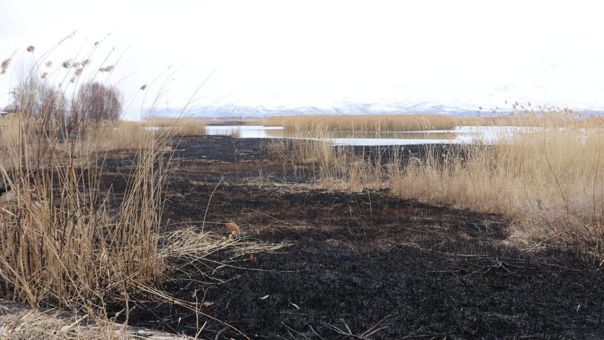 Onlarca kuş türüne ev sahipliği yapan Dilkaya Sazlığı’nda yangın