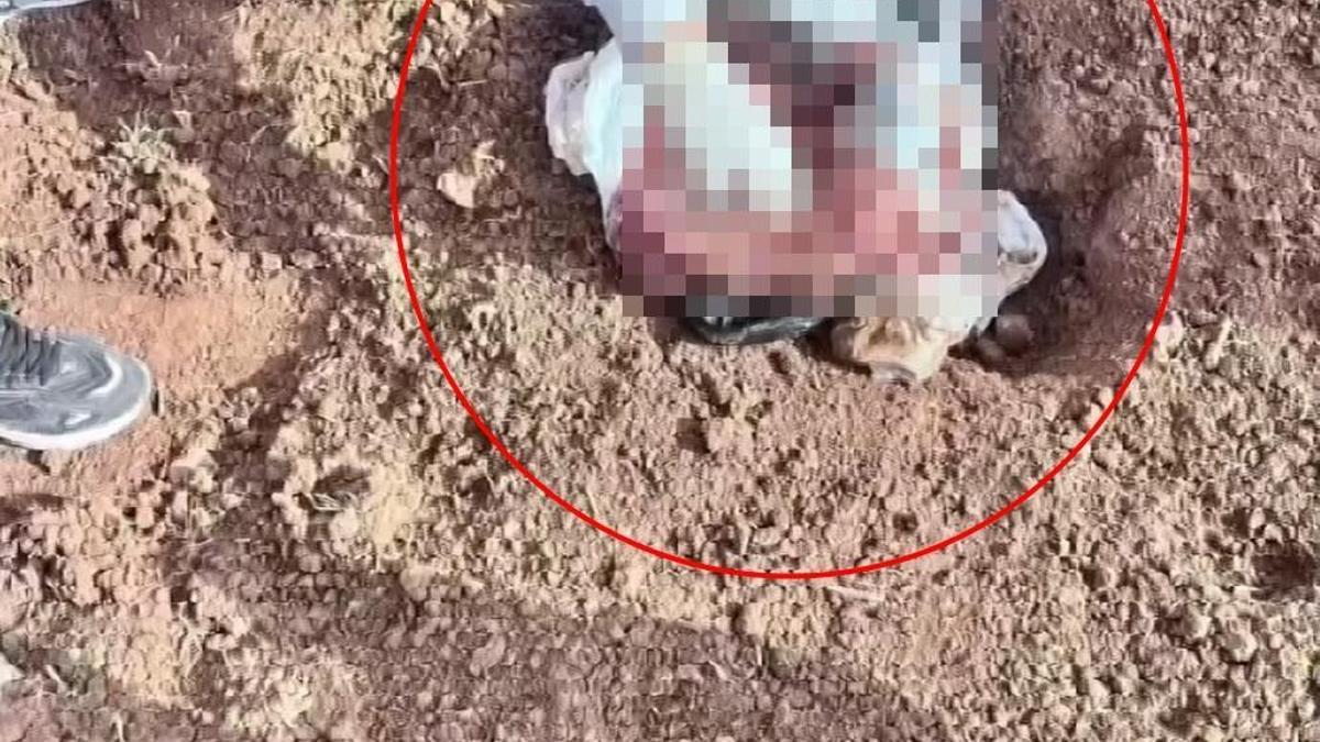 Şırnak'ta, poşet içerisinde yeni doğmuş kız bebek cesedi bulundu