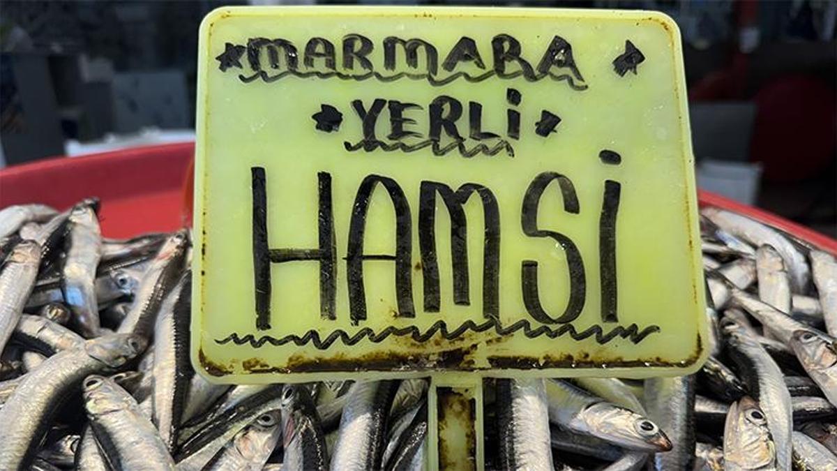 Balık tezgahlarını kar yağışı vurdu! Fiyatlar arttı, hamsinin kilosu 400 TL'ye çıktı