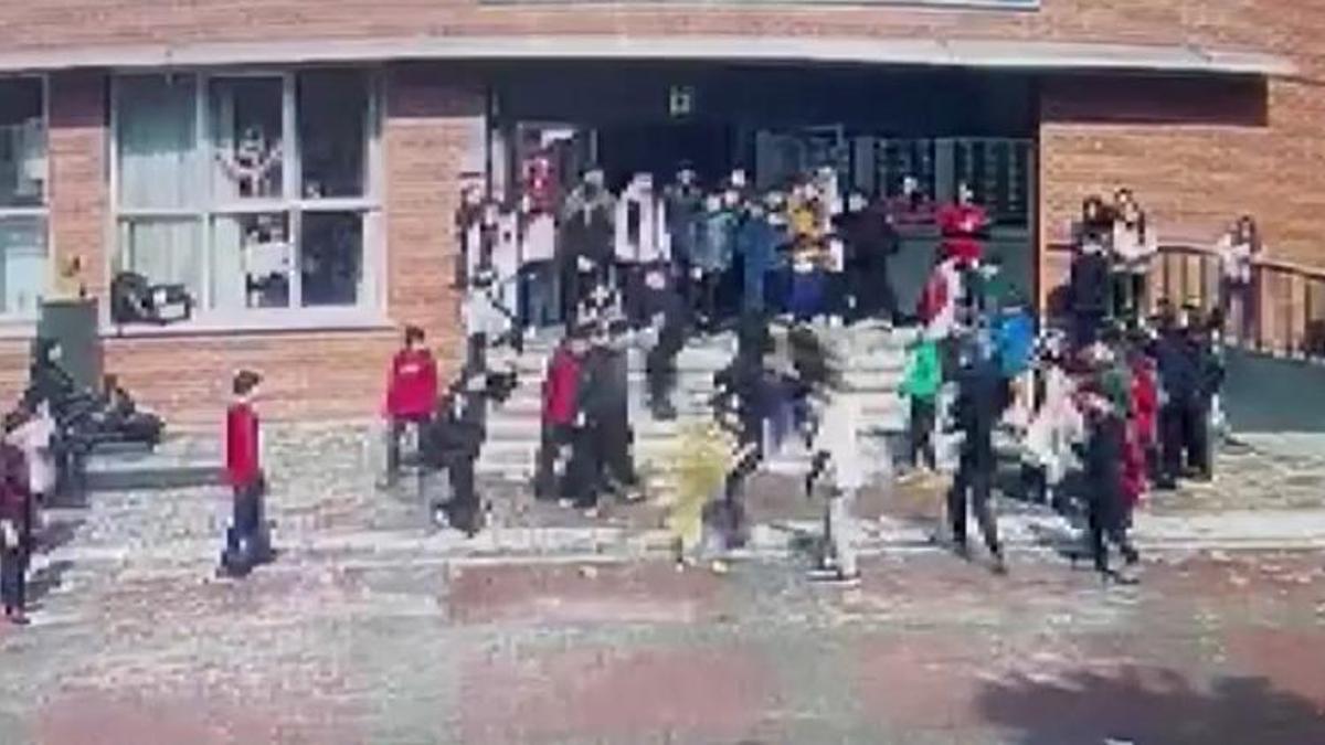 Ümraniye'de okulda köpek dehşeti! 5 öğrenci ve 1 öğretmeni yaraladı, sahibi gözaltında