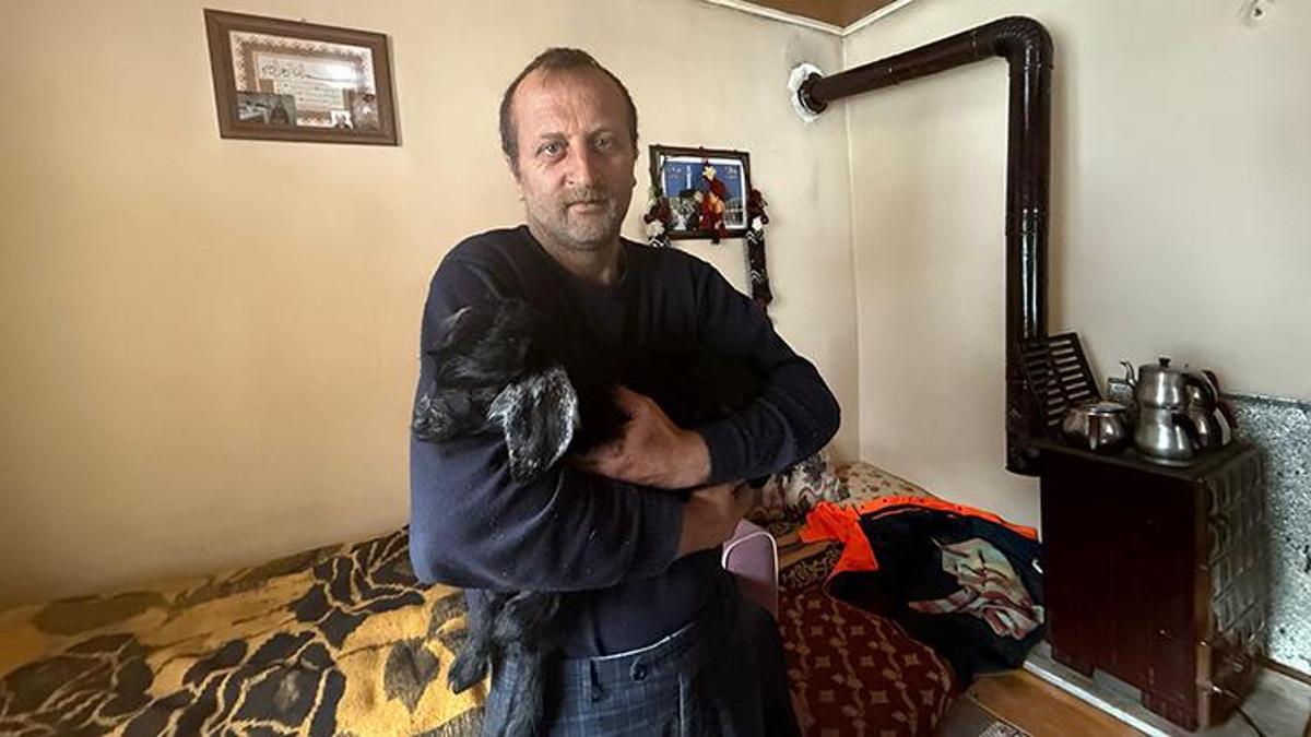 Gümüşhane'de besiciden örnek davranış: Uyutulsun denilen felçli oğlak 'Mıstık' özel yürüteçle yürüyor