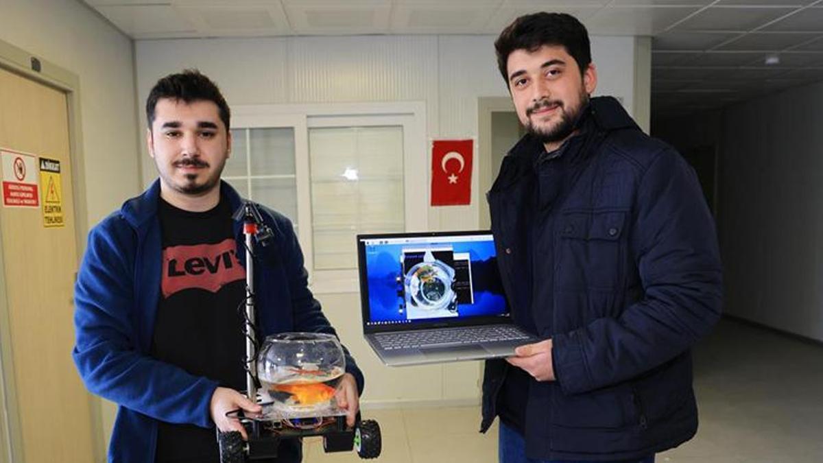 Bu balık araba sürüyor: Yapay zeka ile Japon balığına araba sürdürdüler
