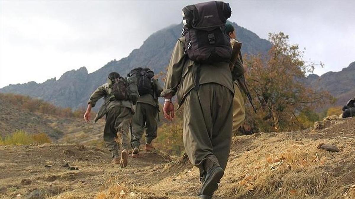 Terör örgütü PKK ateşkes ilan etti: Öcalan'ın çağrısına uyuyoruz