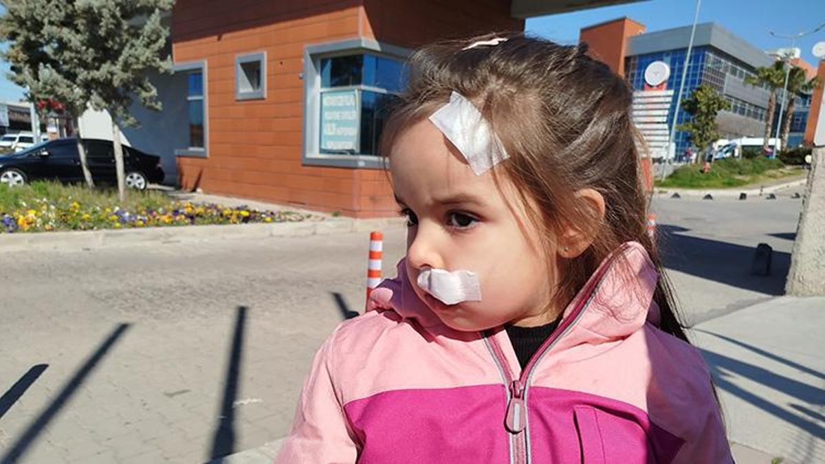 İzmir'de AVM'nin içinde dehşeti yaşadılar! Mağazada barındırılan sahipsiz köpek anne ve kızına saldırdı