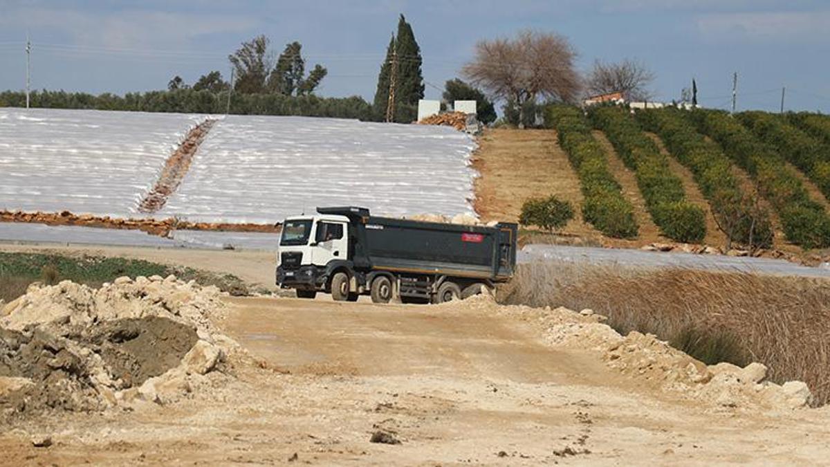 Adana'da tarımsal üretim, yüksek teknolojili seralarla katlanacak