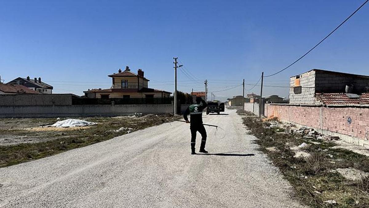 Konya'da bebeğin ölmesinin ardından sahipsiz köpek toplama çalışmaları hızlandı