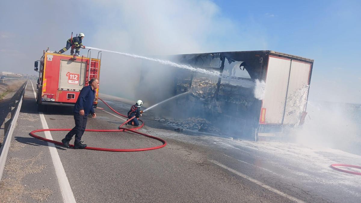 Mardin'de seyir halindeki şampuan yükü TIR, yandı