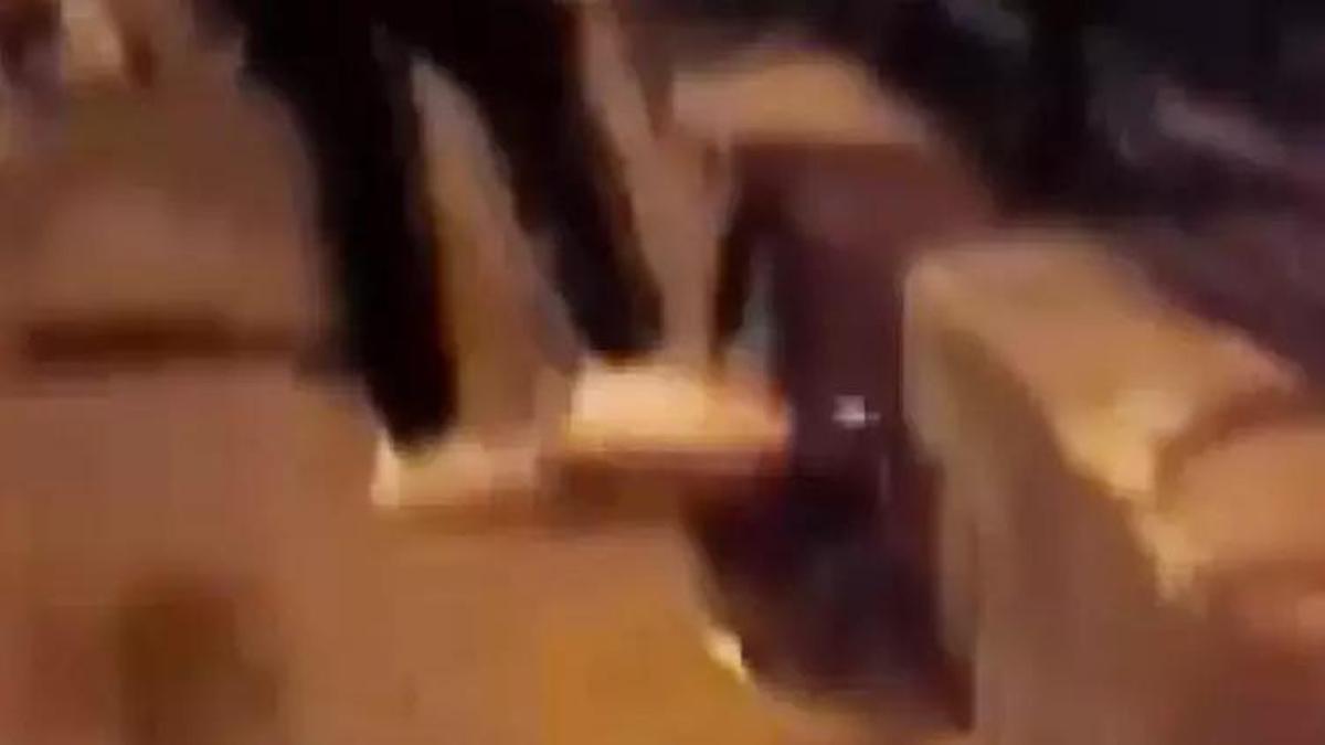 Isparta'da kediye tekme atan kişi tutuklandı