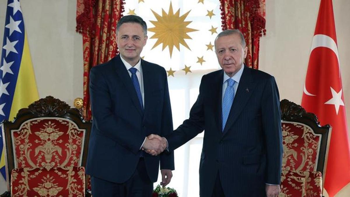 Cumhurbaşkanı Erdoğan, Becirovic'i kabul etti