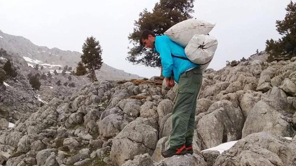 Çiriş otu sezonu açıldı: Her derde deva şifa sofralara geliyor
