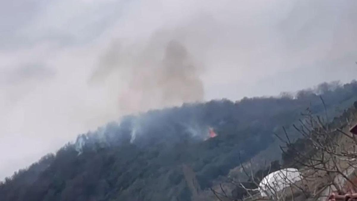 Yalova'da ormanlık alanda çıkan yangın söndürüldü