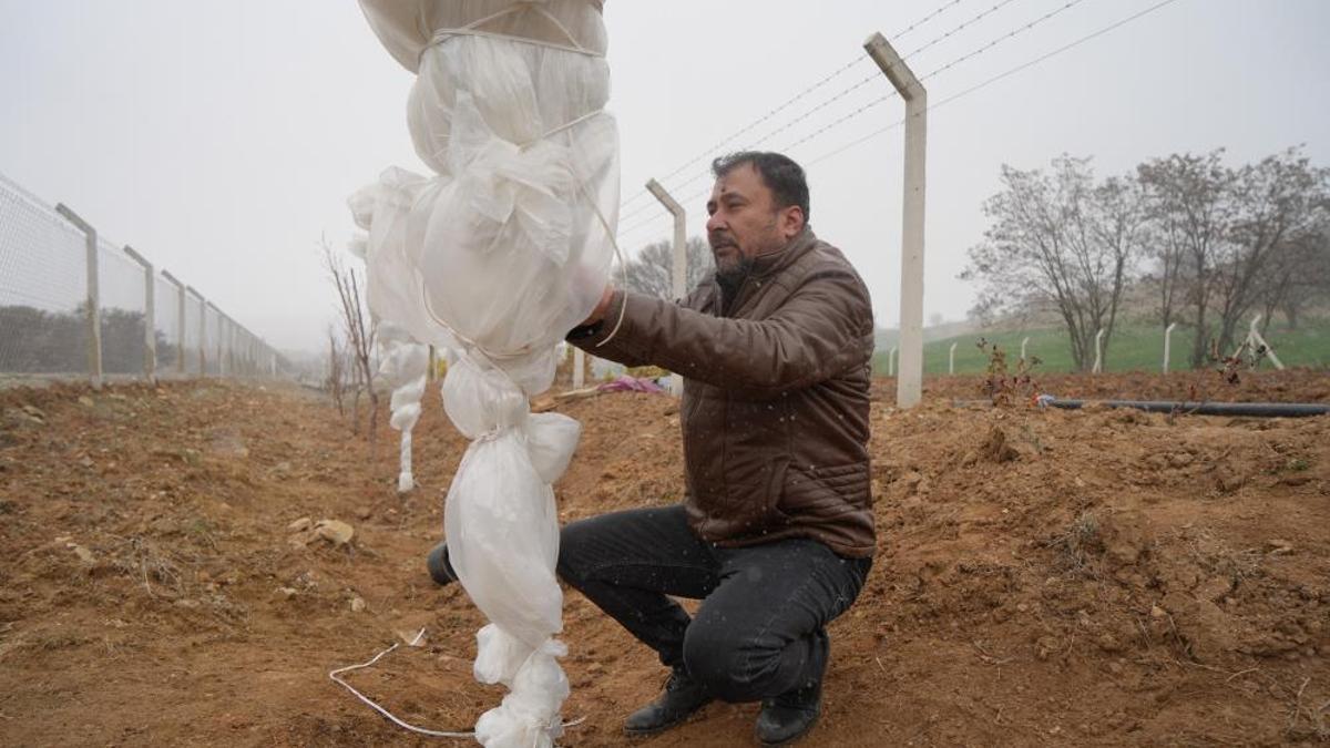 Mart kapıdan baktırdı! Üreticiler don tehlikesine karşı önlem aldı