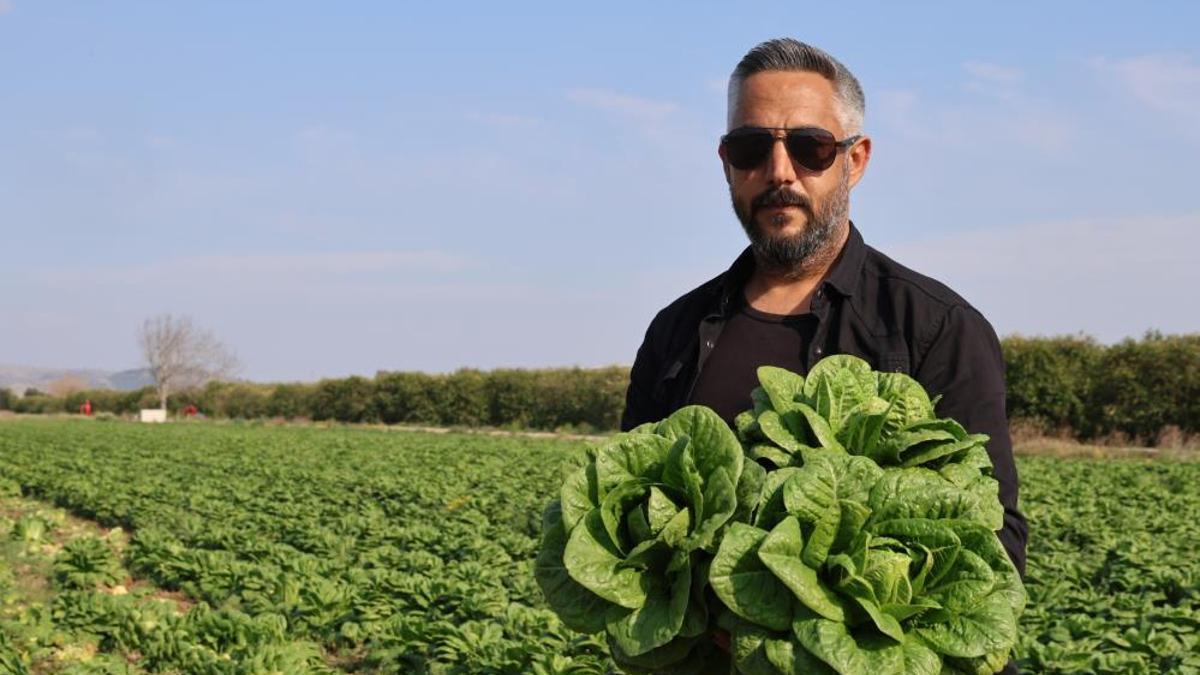 Türkiye'nin üretim merkezlerinden Adana'da yetiştiriliyor! Tarlada 5 TL, manavda 6 katı