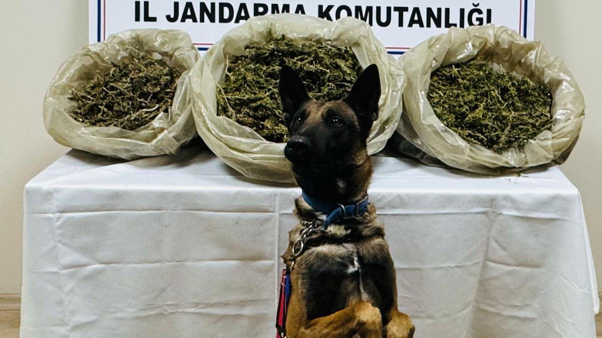 Batman'da ele geçirilen 21 kilo uyuşturucuya 1 tutuklama