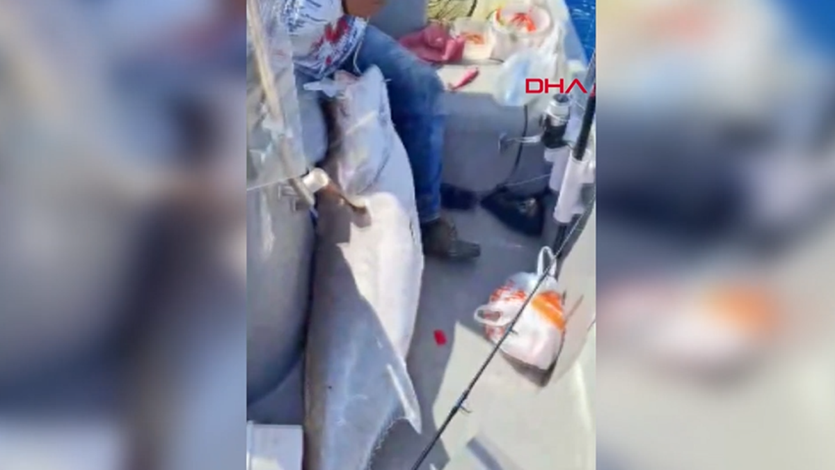 Hatay'da amatör balıkçı oltayla 56 kilo ağırlığında balık yakaladı